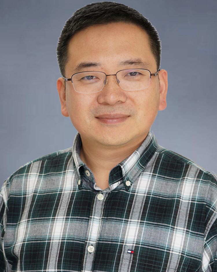 IT Business Support & Solutions